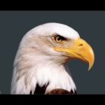 El “águila” Saavedra inauguró el Laboratorio 2 con ejercicios de motivación