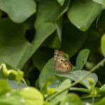 La voz de Erika Pérez