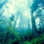 La voz de Ismael Guzmán, director del Centro de Educación Agrícola Tarairí