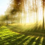 La voz de Zoila Ceballos