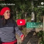 Mirada de Zoila Ceballos