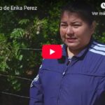 Mirada de Erika Perez