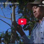 Testimonio de Brígida y Julia
