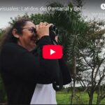 Historias visuales: Latidos del Pantanal y del Chaco
