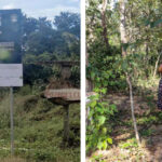 “Cuidar lo que queda”: la comunidad de San José de Chiquitos protege el Bosque Pedagógico Los Piyo como legado para futuras generaciones