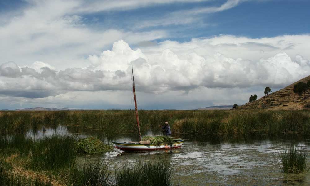 Aguas servidas tiñen de verde el Lago Titicaca