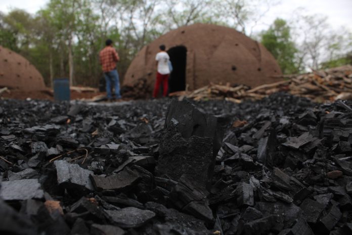 El chaco boliviano se carboniza