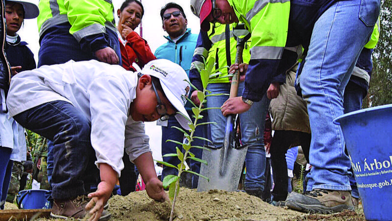 Sin conciencia ciudadana, la reforestación no tiene sentido