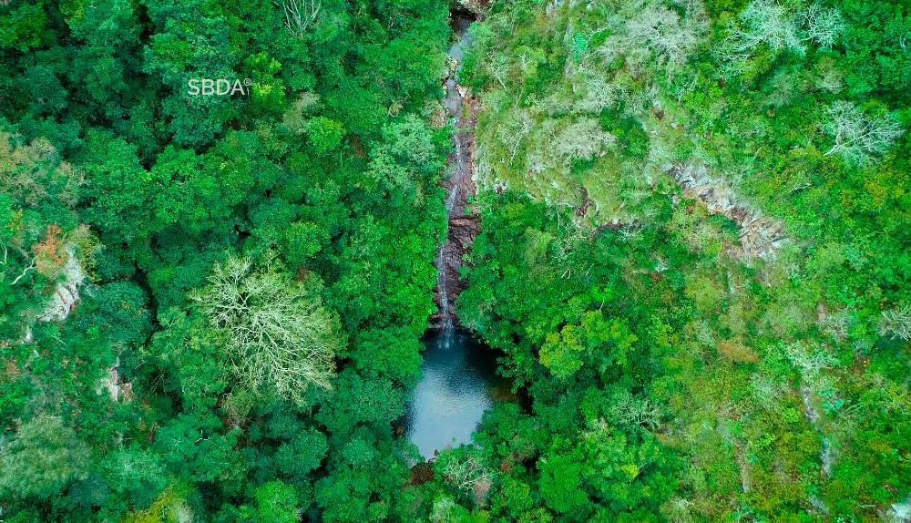 Los defensores del agua dulce