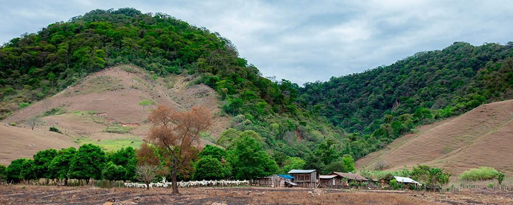 Cachimayu en Monteagudo LA COMUNIDAD DEL OLVIDO