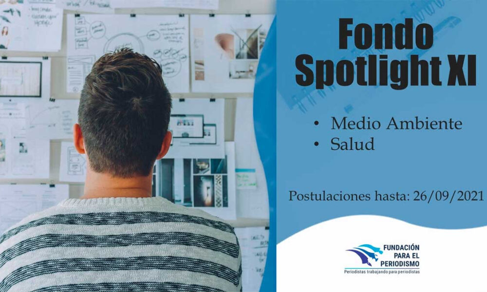 FONDO SPOTLIGHT XI