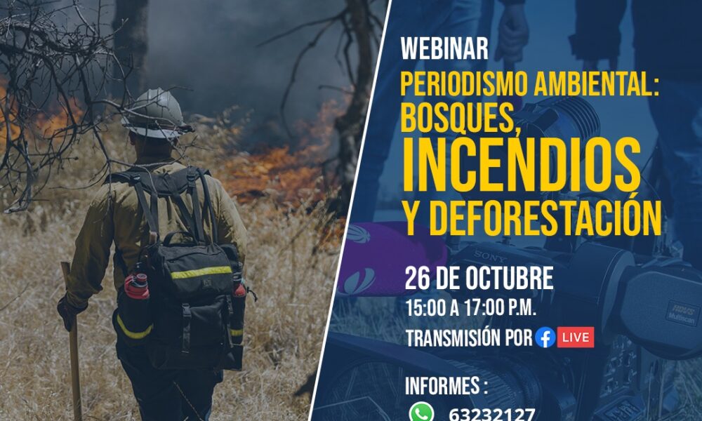 Webinar Periodismo ambiental: Bosques, incendios y deforestación 