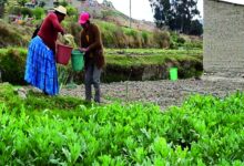 Huancarami, la localidad a Achocalla que lucha por agua