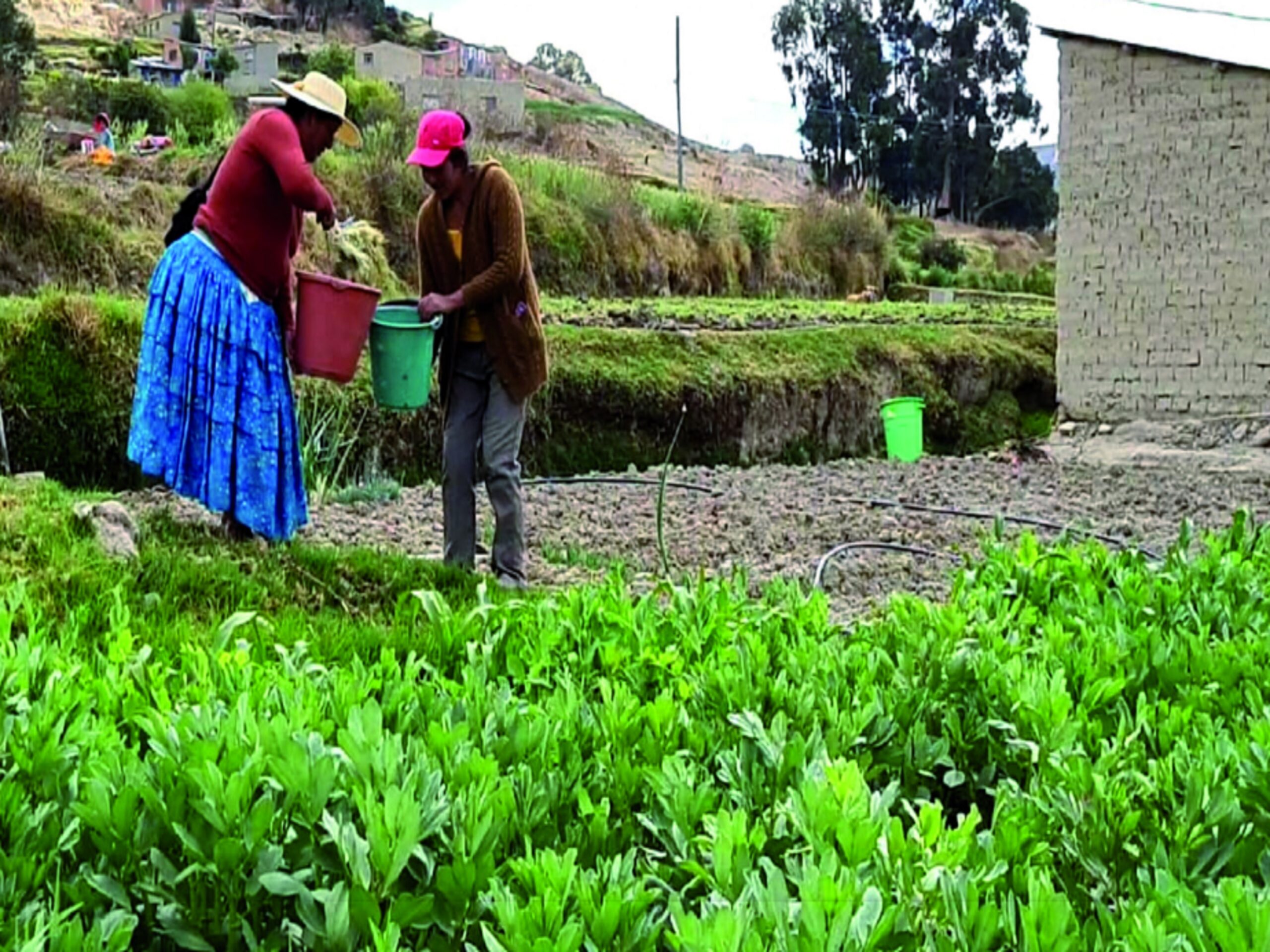 Huancarami, la localidad a Achocalla que lucha por agua