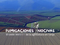 Fumigaciones nocivas, el costo invisible de la agricultura en Tarija